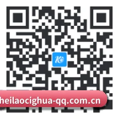 Android 饭圈版 二维码